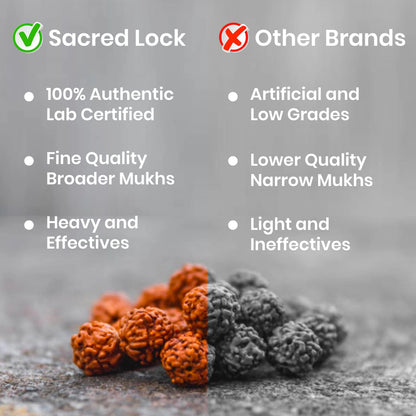 Natural 5 Mukhi Rudraksha Bracelet | Name Engraved | Lab Tested & Certified